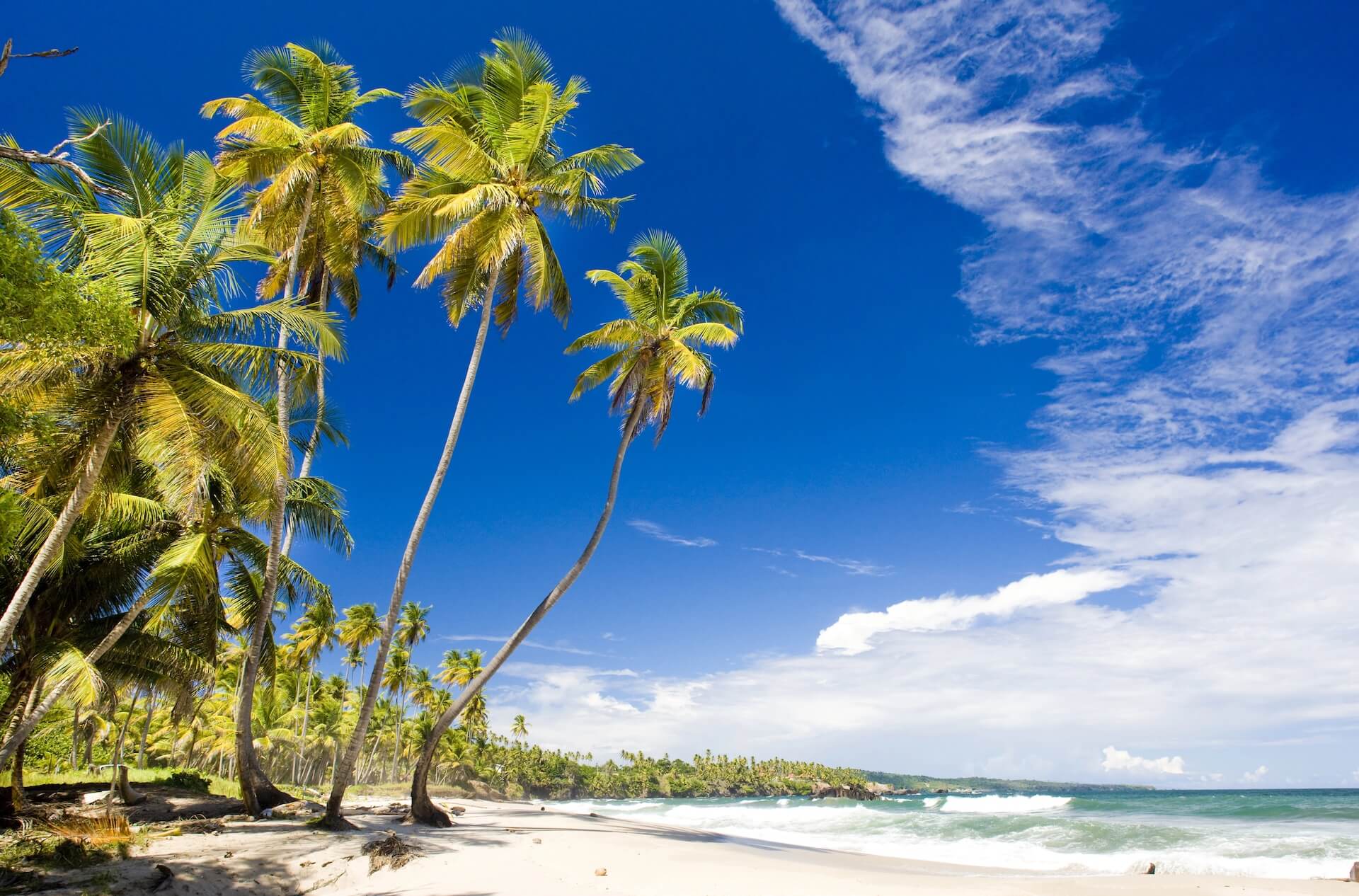 cucuma beach trinidad